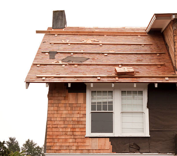 Best Siding Removal and Disposal  in Cross Plains, WI